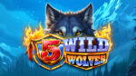 5 Wild Wolves