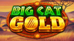 Big Cat Gold