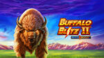 Buffalo Blitz II