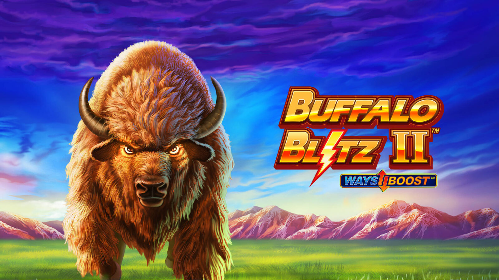Buffalo Blitz II 1 Buffalo Blitz II