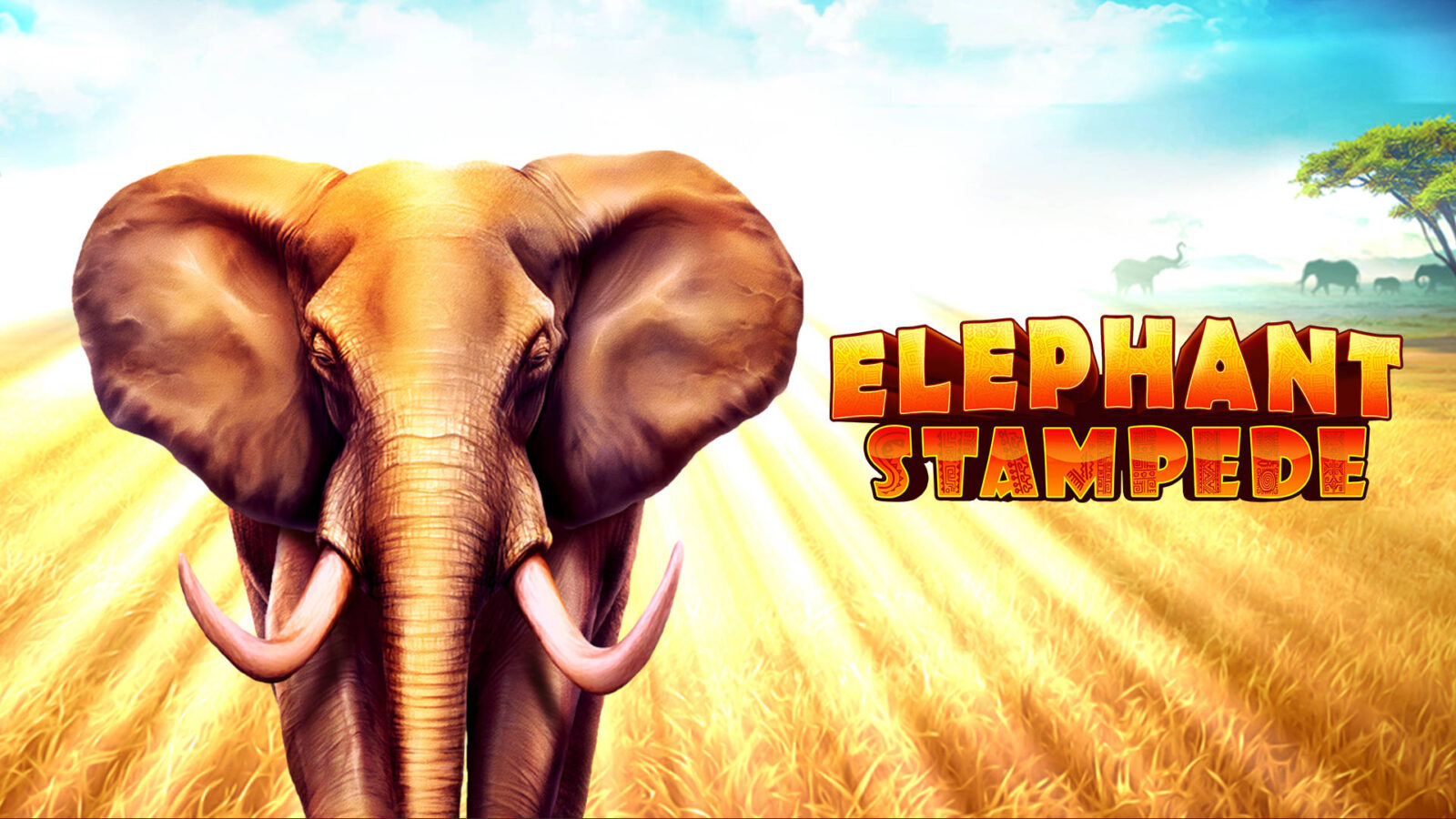 Elephant Stampede SE