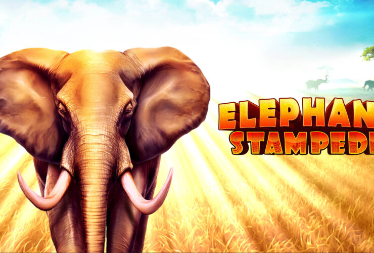 Elephant Stampede SE