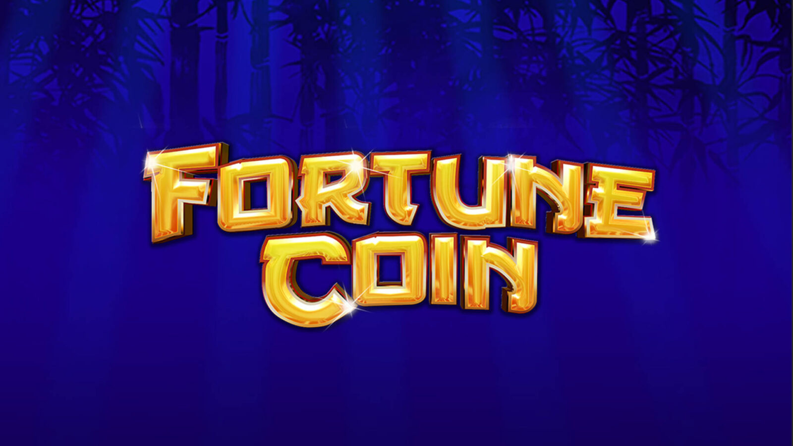 Fortune Coin 1 Fortune Coin