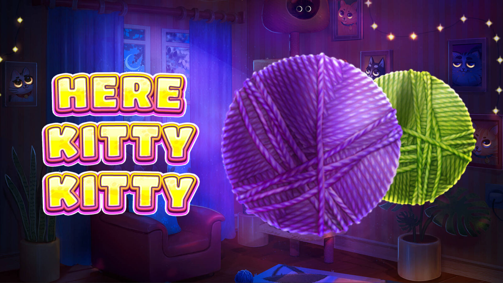 Here Kitty Kitty 1 Here Kitty Kitty