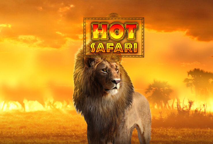 Hot Safari