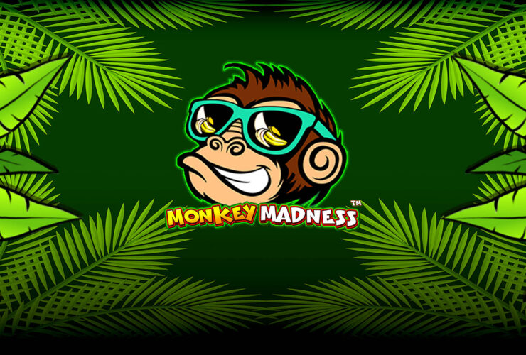 Monkey Madness