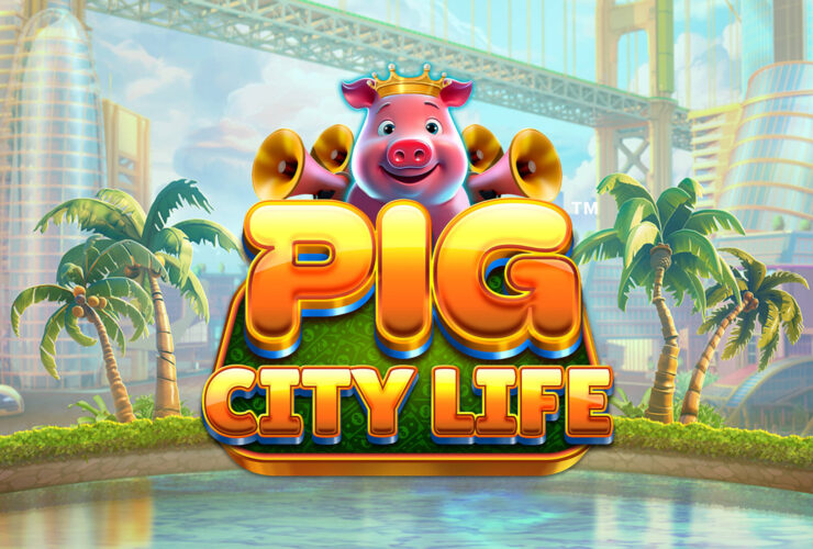Pig City Life