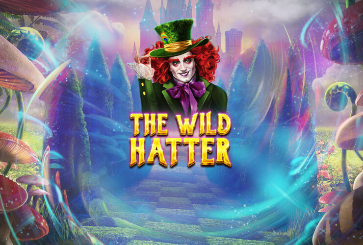 The Wild Hatter