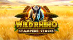Wild Rhino Stampede Stacks