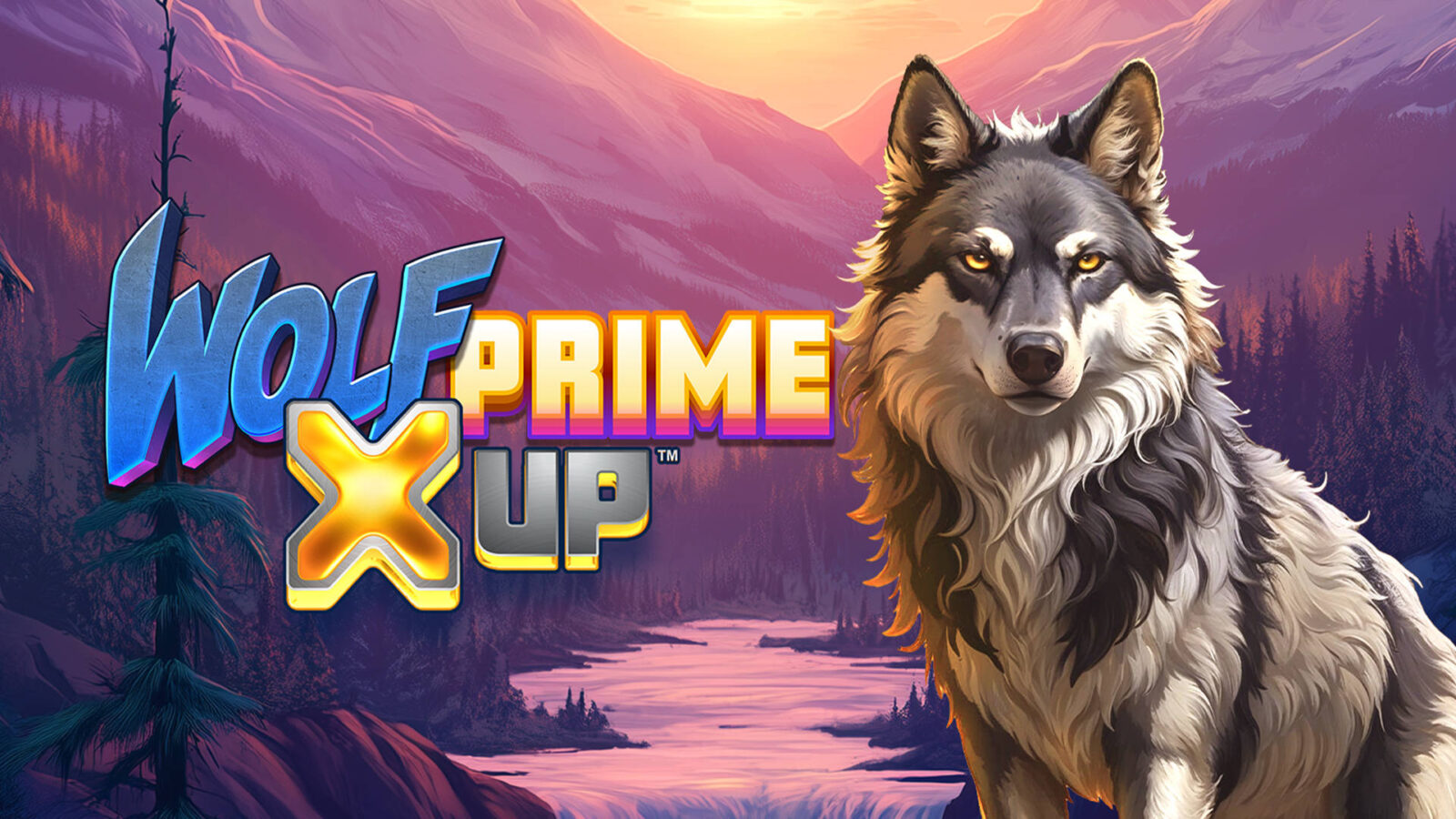 Wolf Prime X UP